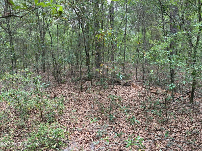 XXX Kennedy Ave, Interlachen, FL 32148