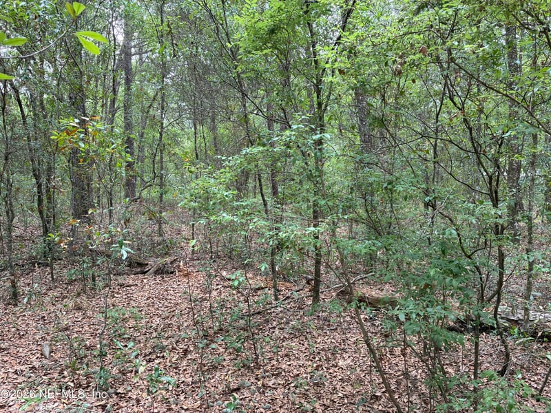 XXX Kennedy Ave, Interlachen, FL 32148