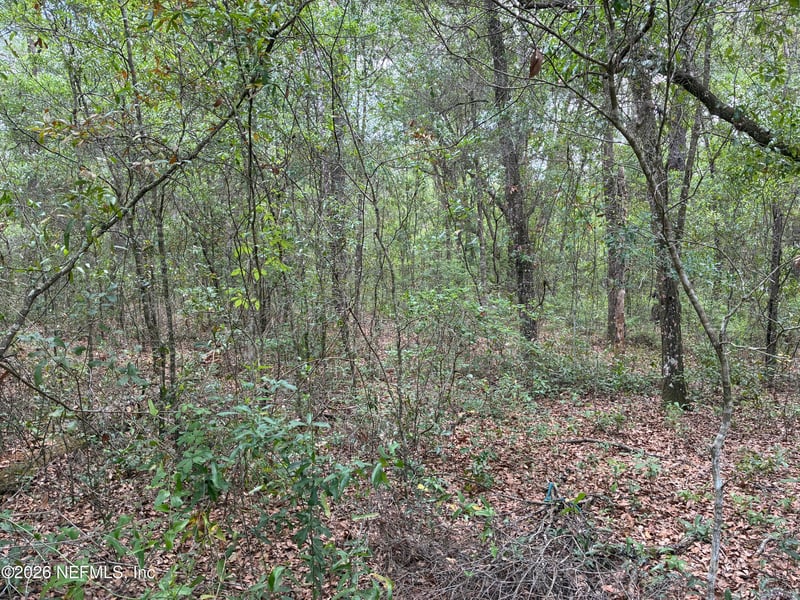 XXX Kennedy Ave, Interlachen, FL 32148