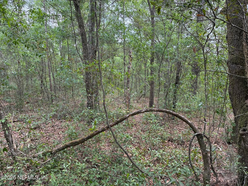 XXX Kennedy Ave, Interlachen, FL 32148