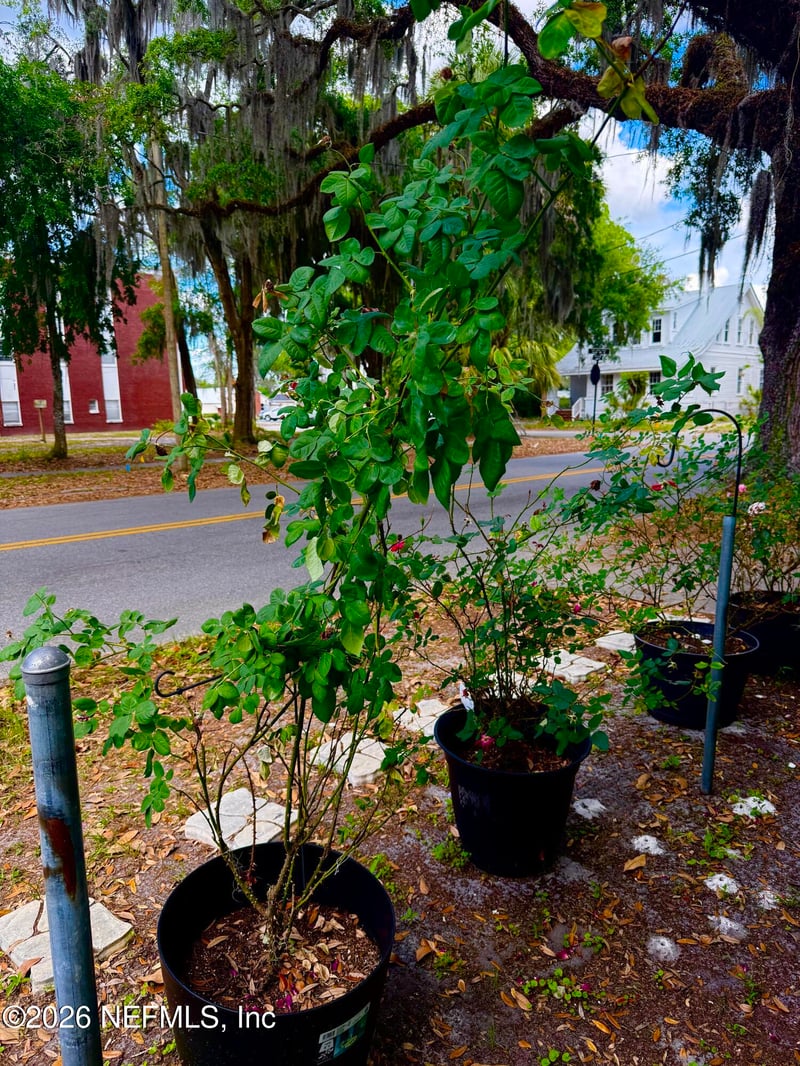 503 Laurel St, Palatka, FL 32177