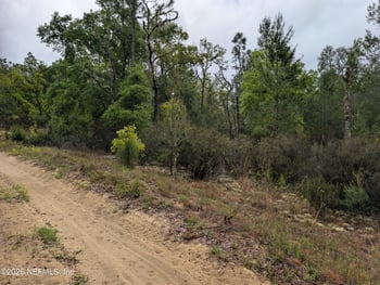 LOT 34- 35 Maltas Ave, Interlachen, FL 32148