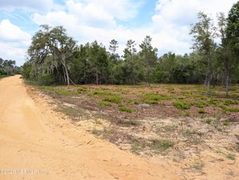 LOTS 19-21 Selma Ave, Interlachen, FL 32148