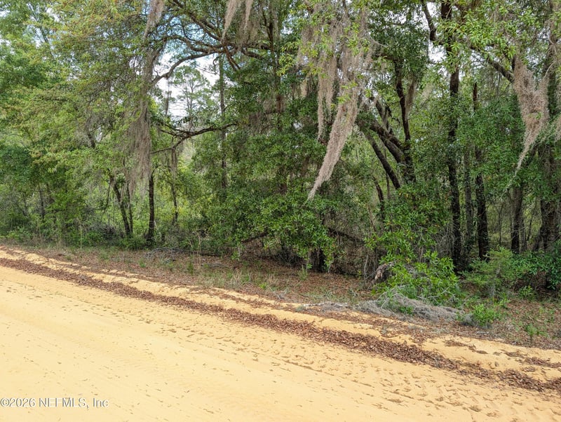 LOTS 19-21 Selma Ave, Interlachen, FL 32148