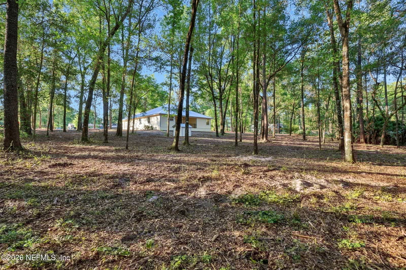 2830 Tansy Ave, Middleburg, FL 32068