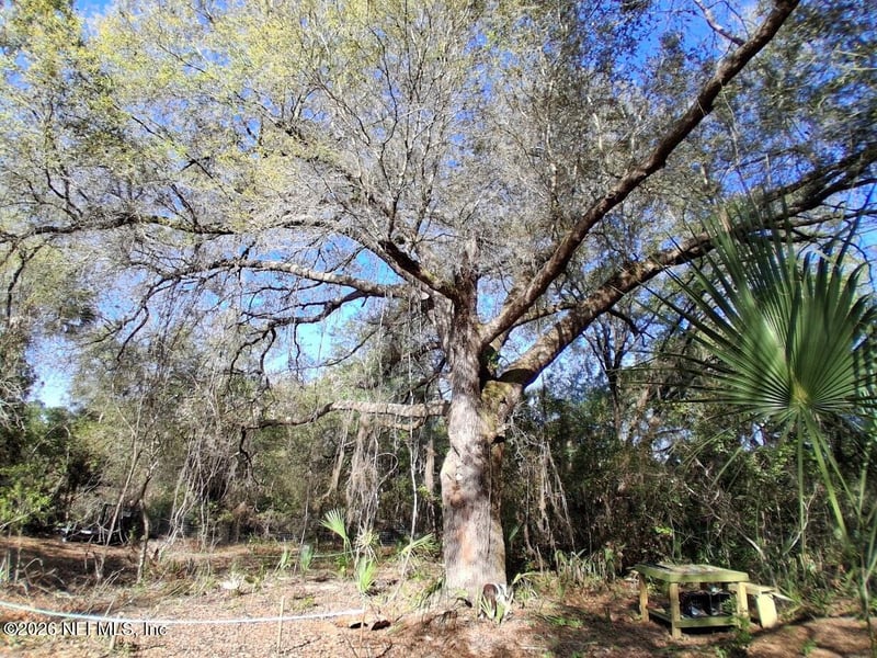 910 Paradise Blvd, Georgetown, FL 32139