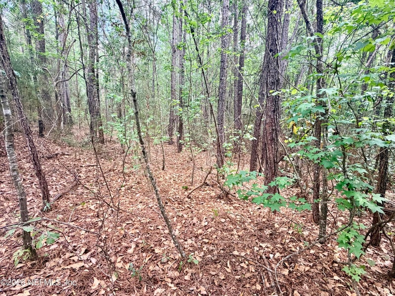 5th St, Macclenny, FL 32063