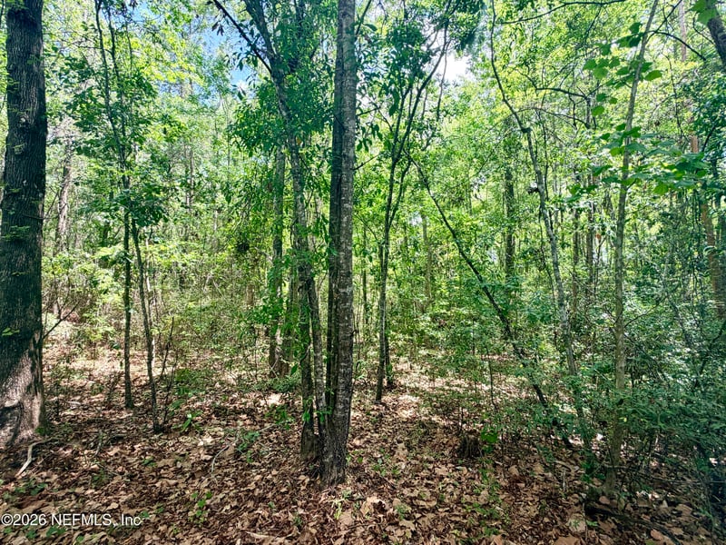 5th St, Macclenny, FL 32063