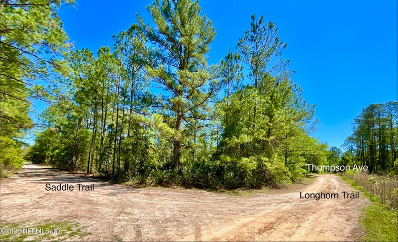 125 Saddle Trl, Interlachen, FL 32148