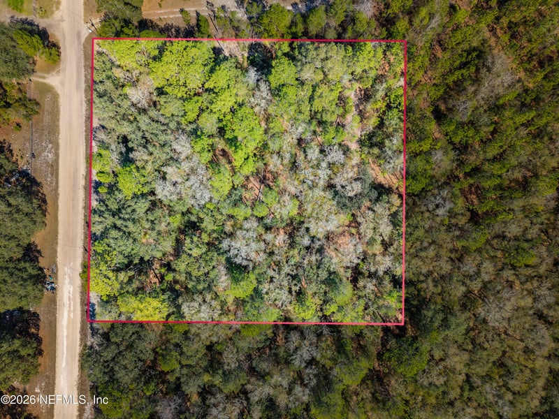 171 Nettles Rd, Florahome, FL 32140