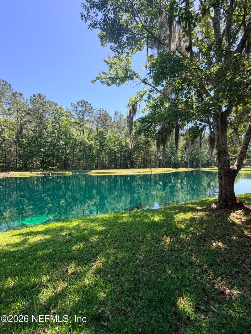 145 Dover Bluff Dr, Orange Park, FL 32073