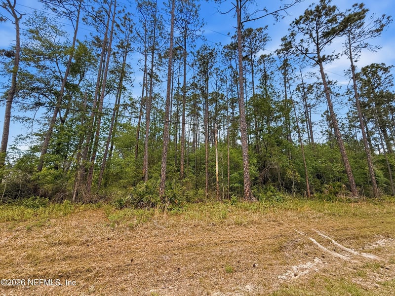 2168 Hibiscus Ave, Middleburg, FL 32068