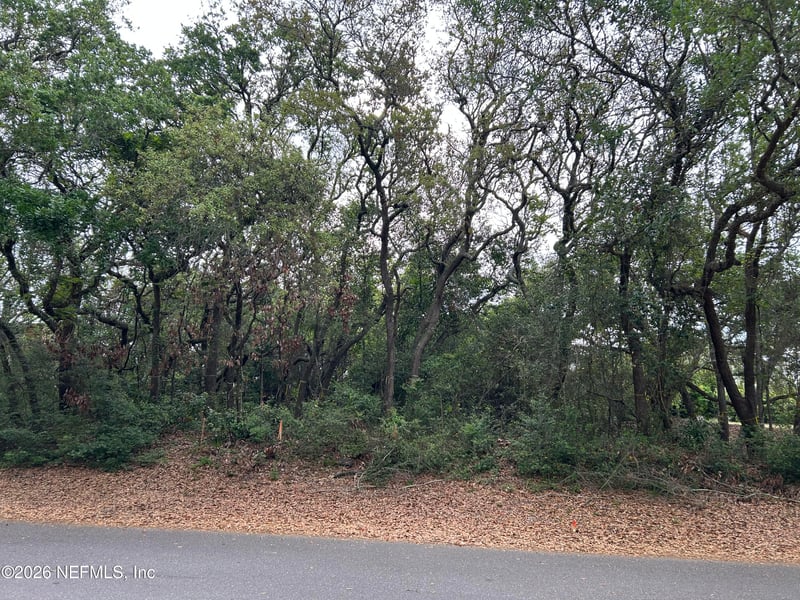 2550 1st Ave, Fernandina Beach, FL 32034