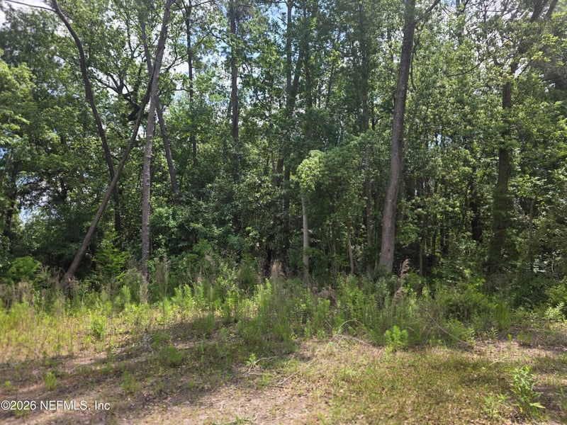 Pope Pl, Jacksonville, FL 32209