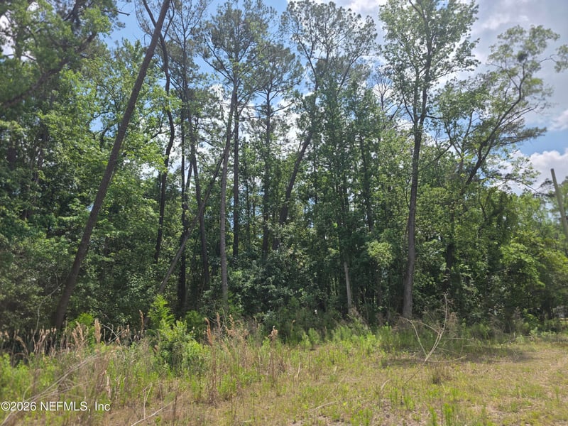 Pope Pl, Jacksonville, FL 32209