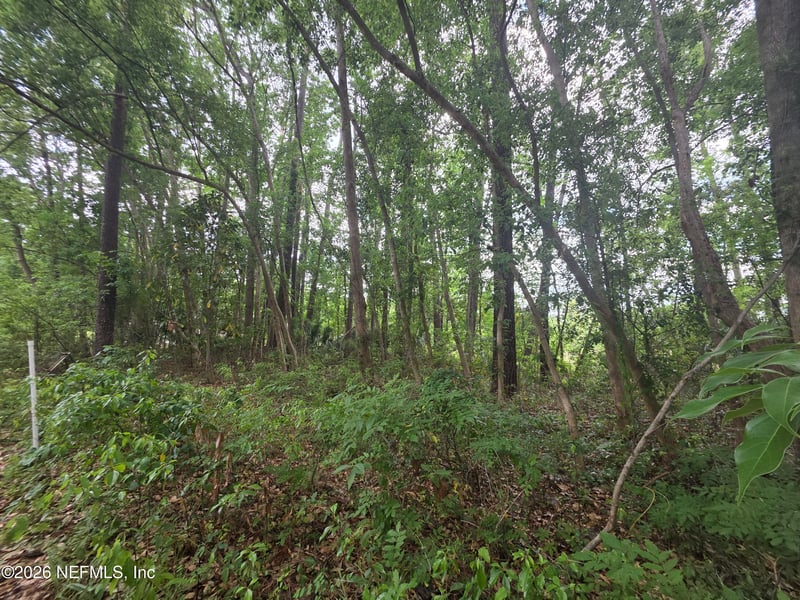 Pope Pl, Jacksonville, FL 32209