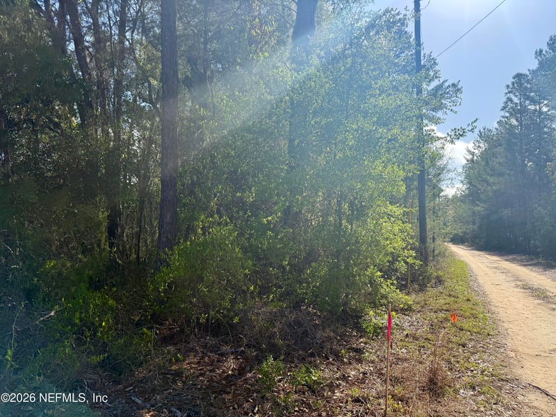 XXX County Road 315, Interlachen, FL 32148