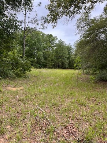 Milton Ave, Interlachen, FL 32148