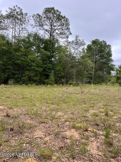 Milton Ave, Interlachen, FL 32148