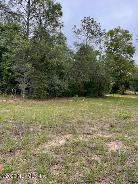 Milton Ave, Interlachen, FL 32148