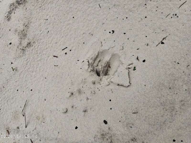 248 Saddleback Trl, Palatka, FL 32177