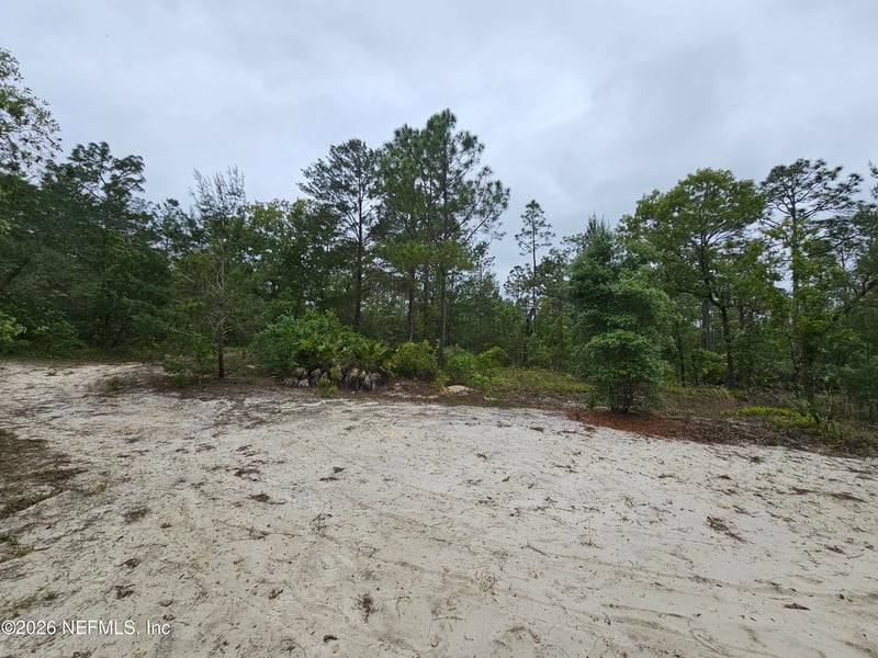 248 Saddleback Trl, Palatka, FL 32177