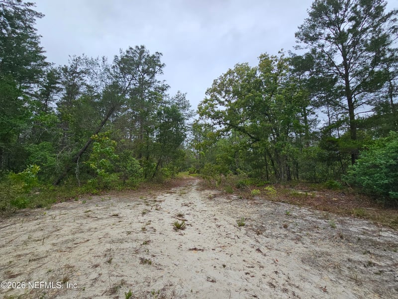 248 Saddleback Trl, Palatka, FL 32177