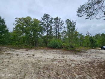 248 Saddleback Trl, Palatka, FL 32177