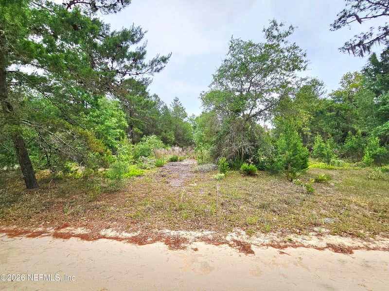 302 Rainbow Dr, Florahome, FL 32140