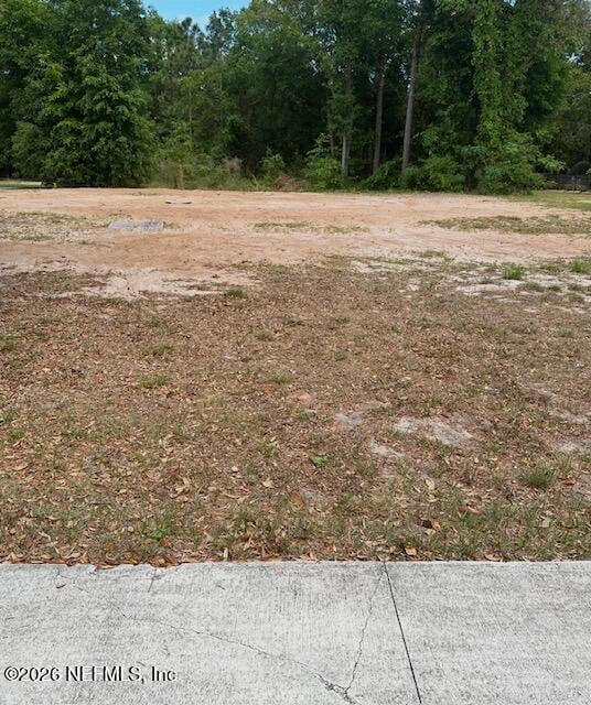 10877 Peaceful Harbor Dr, Jacksonville, FL 32218