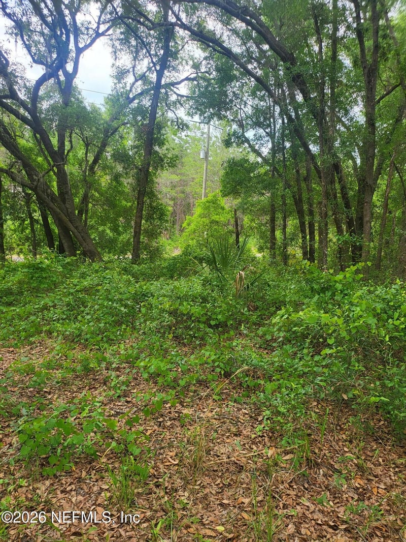 869 County Road 308b, Pomona Park, FL 32181