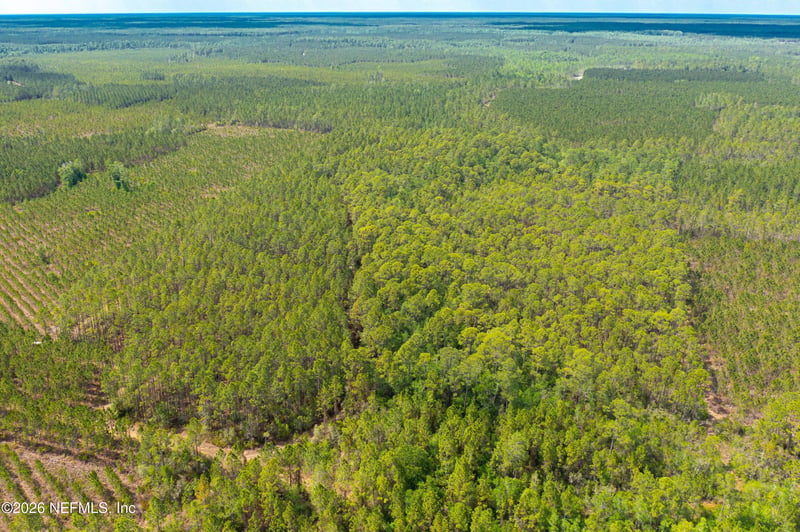 County Road 229, Sanderson, FL 32087