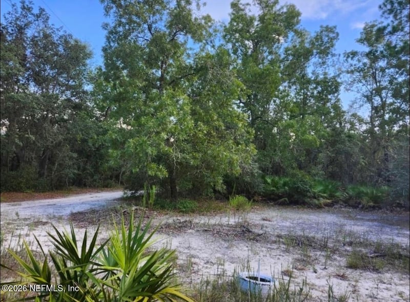 240 Lakeway Dr, Georgetown, FL 32139