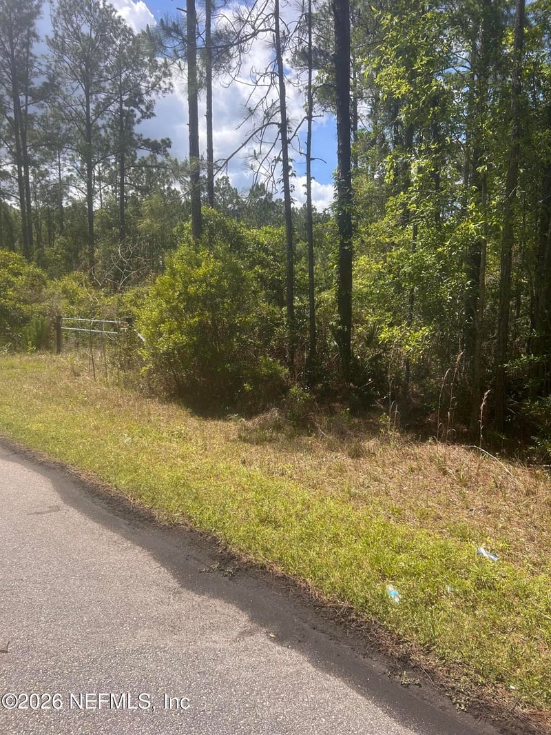240 Lakeway Dr, Georgetown, FL 32139