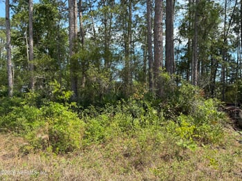 000 Susan St, Interlachen, FL 32148