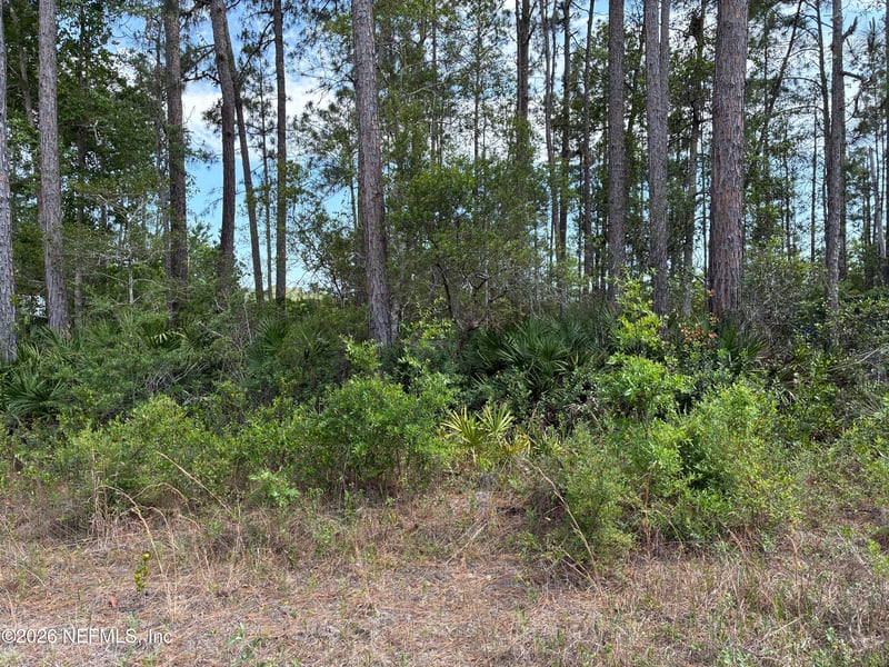 000 Susan St, Interlachen, FL 32148