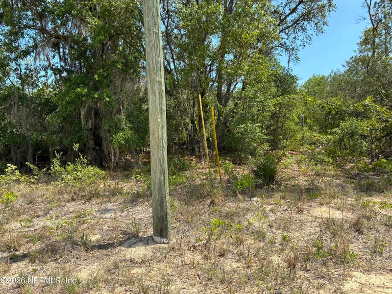 00 Donovan Ave, Interlachen, FL 32148