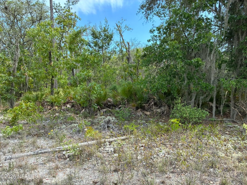 00 Donovan Ave, Interlachen, FL 32148