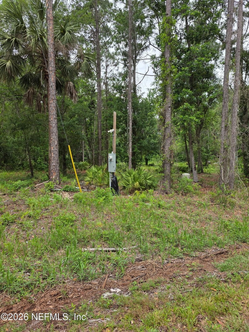 109 Anne Blvd, Georgetown, FL 32139