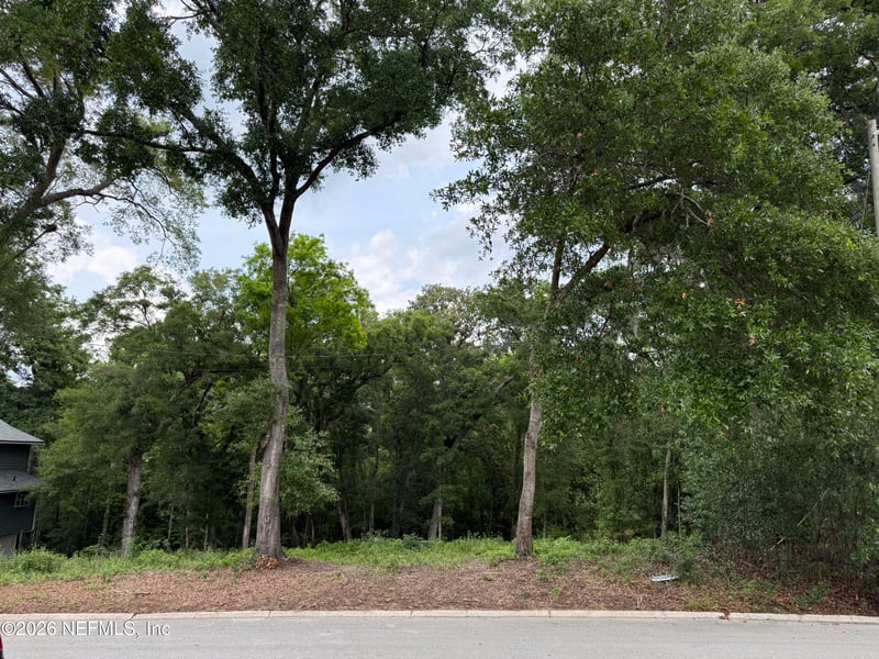 1891 Holly Oaks Ravine Dr, Jacksonville, FL 32225