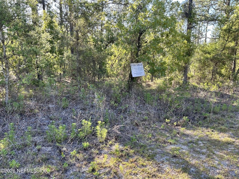 LOT 20 Buena Vista Rd, Dunnellon, FL 34431