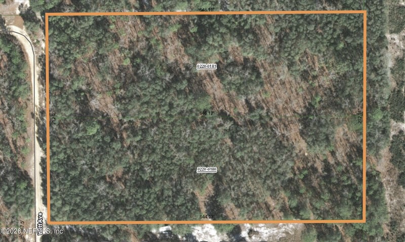 110 Witt Ave, Hollister, FL 32147