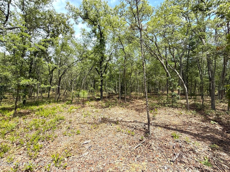 110 Witt Ave, Hollister, FL 32147