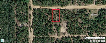 529 Nova Scotia St, Interlachen, FL 32148