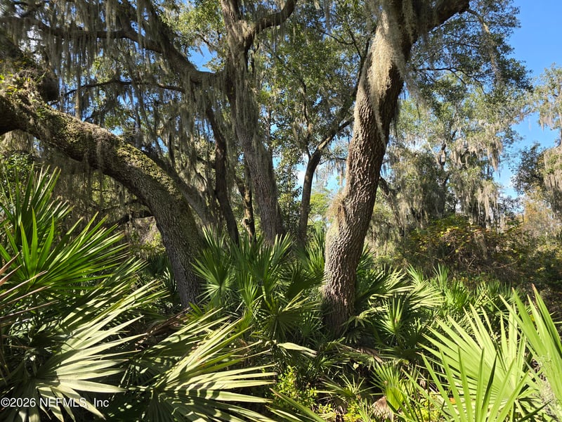 County Road 207a, East Palatka, FL 32131