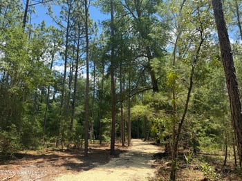 XXX Leisure Pl, Interlachen, FL 32148