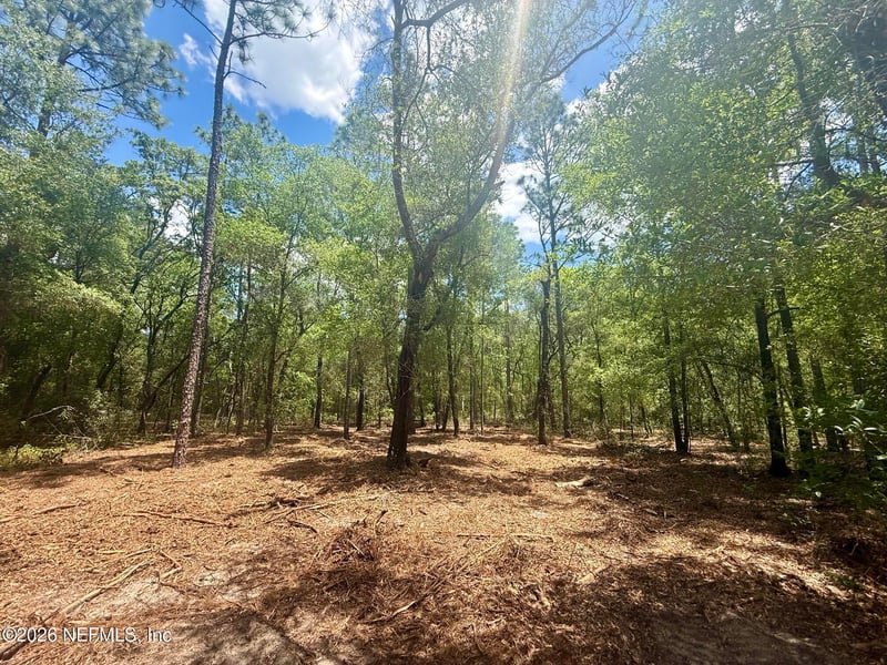 XXX Leisure Pl, Interlachen, FL 32148