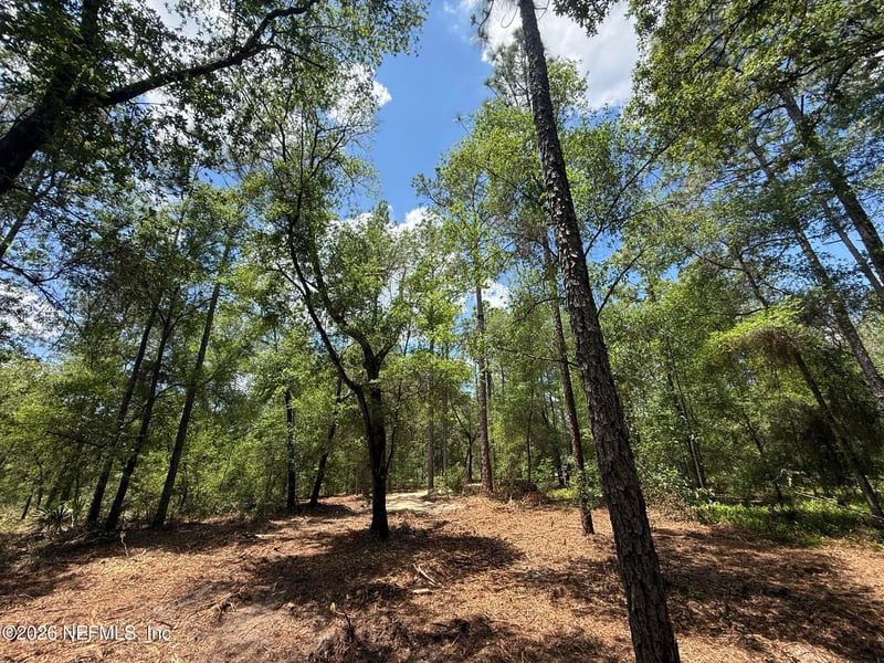 XXX Leisure Pl, Interlachen, FL 32148