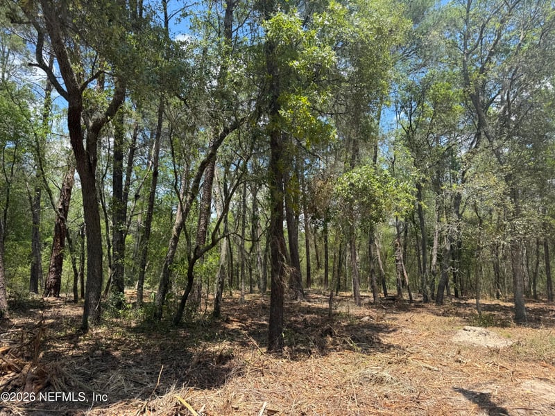 XXX County Road 315, Interlachen, FL 32148