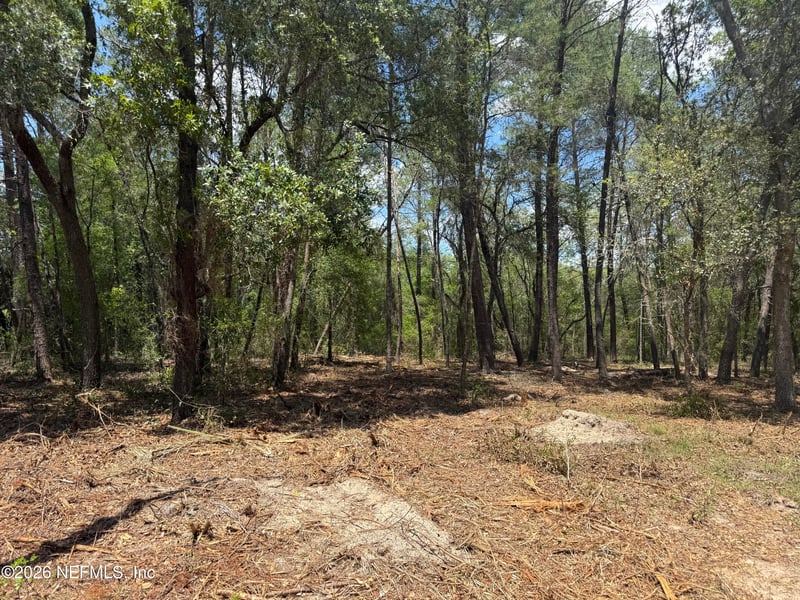 XXX County Road 315, Interlachen, FL 32148